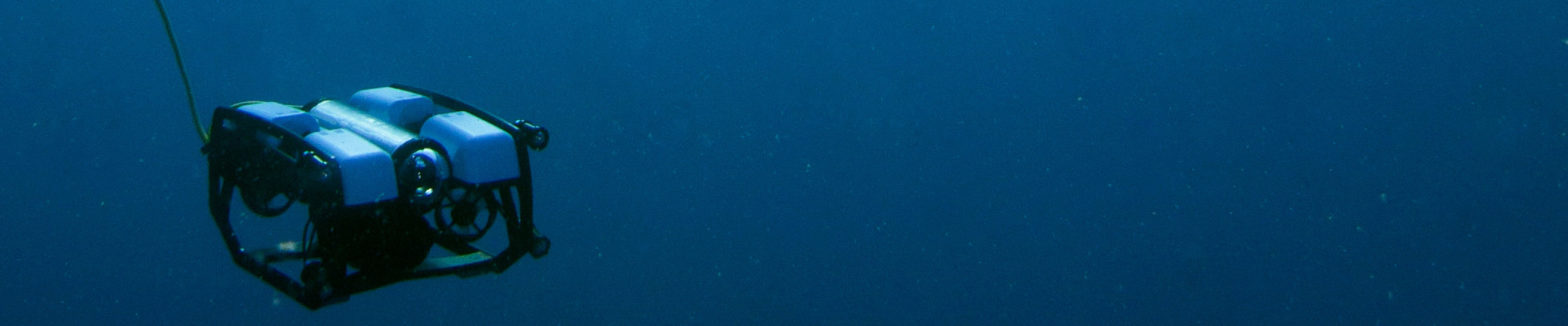 blog banner desktop image