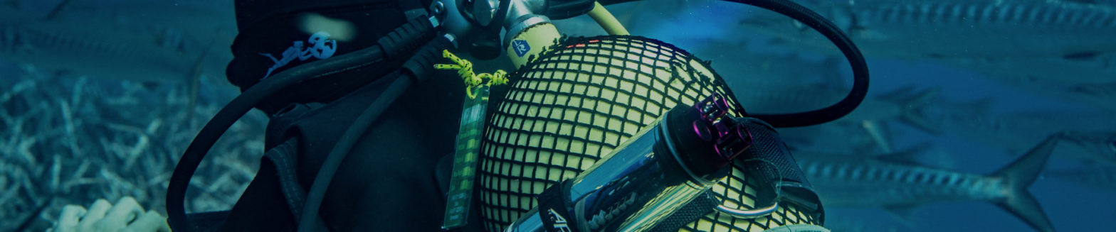 blog banner desktop image