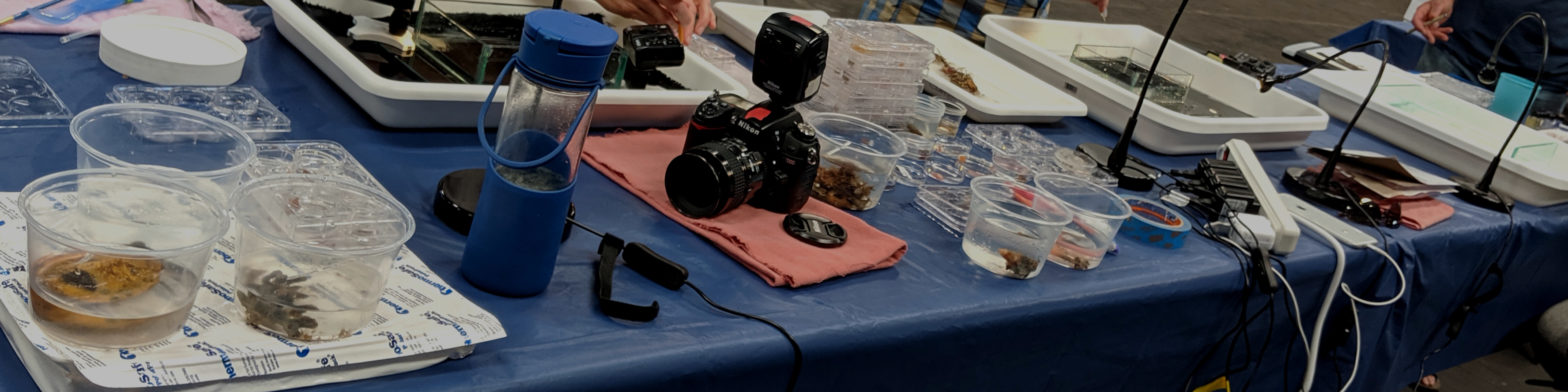 blog banner desktop image