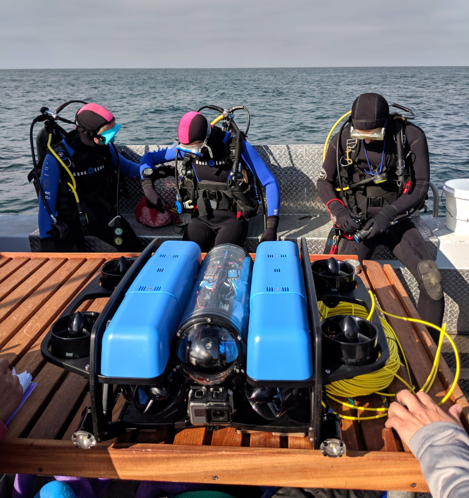 Divers gearing up for specimen collection with the <em>BlueROV2</em>
