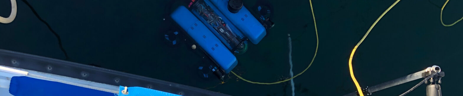 blog banner desktop image