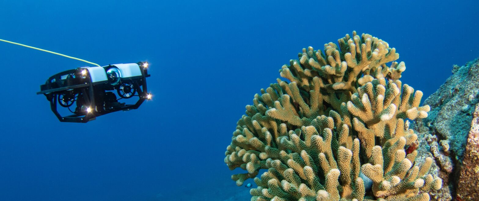 blog banner desktop image