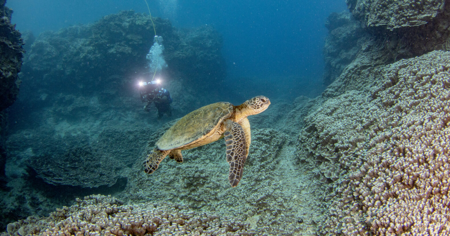 blog banner desktop image