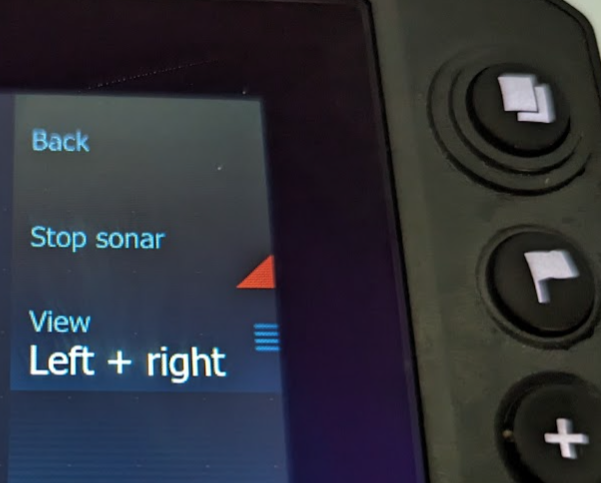Lowrance stop sonar flag