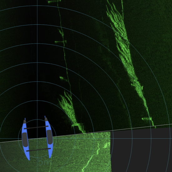 SonarView software shows a BlueBoat with the Cerulean Omniscan 450 SS inspecting a kelp farm.Those patches of green to the right are kelp! Photo Credit: Nick Nidzieko