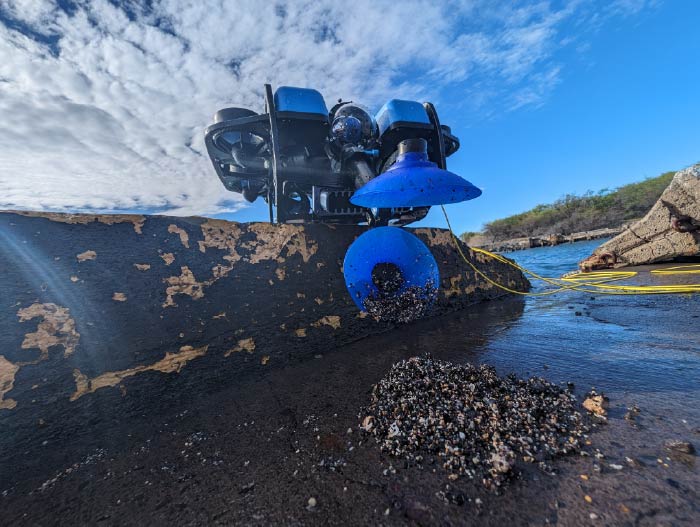 Divers cleaning up tires in Kailua Bay