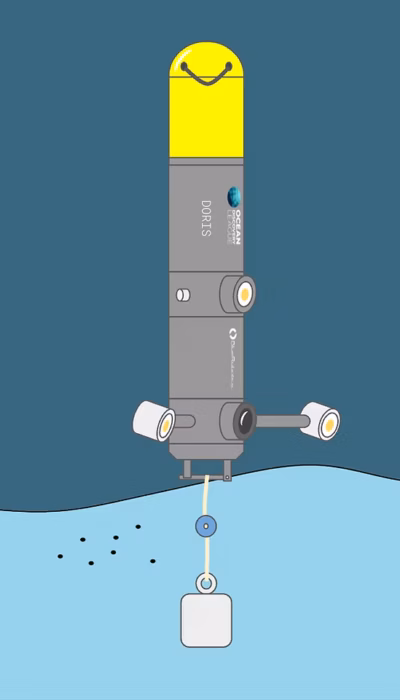 DORIS Draft for Planning