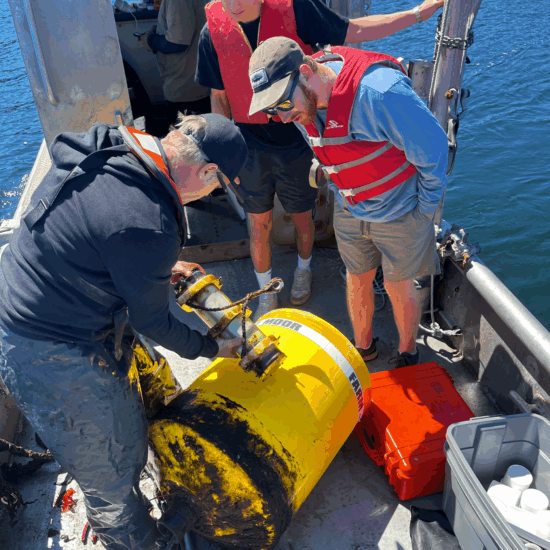 A drop cam being used at Cascadia Seaweed.