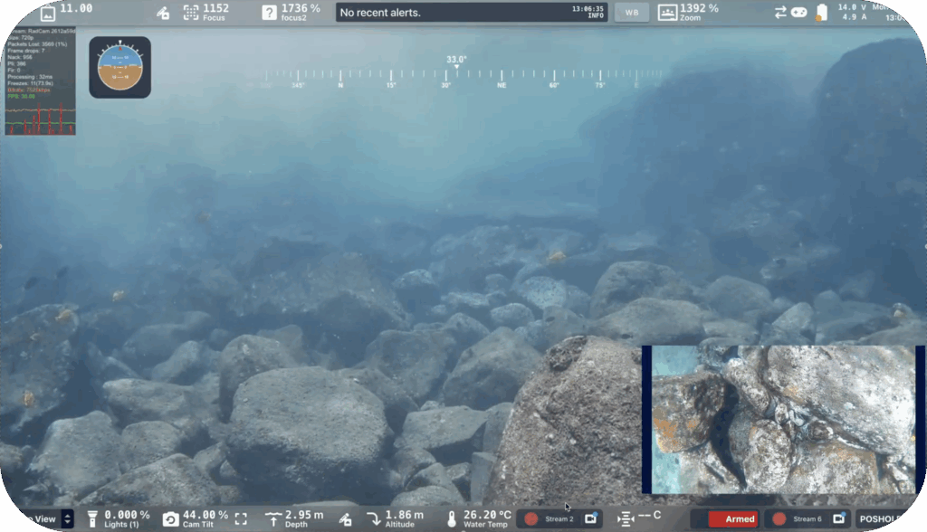 video view in cockpit